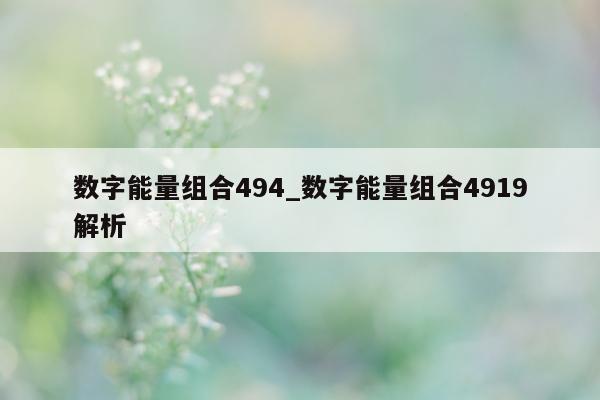 数字能量组合 494_数字能量组合 4919 解析 - 第 1 张图片 - 小城生活