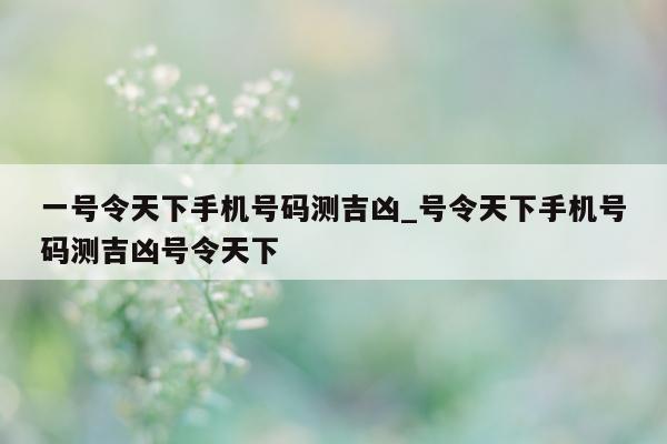 一号令天下手机号码测吉凶_号令天下手机号码测吉凶号令天下 - 第 1 张图片 - 小城生活