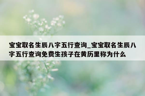 宝宝取名生辰八字五行查询_宝宝取名生辰八字五行查询免费生孩子在黄历里称为什么 - 第 1 张图片 - 小城生活