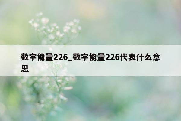 数字能量 226_数字能量 226 代表什么意思 - 第 1 张图片 - 小城生活