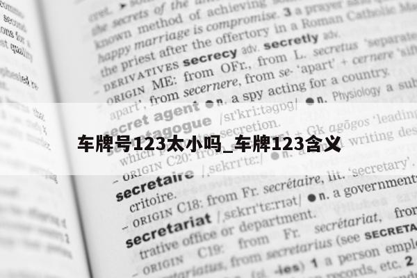 车牌号 123 太小吗_车牌 123 含义 - 第 1 张图片 - 小城生活