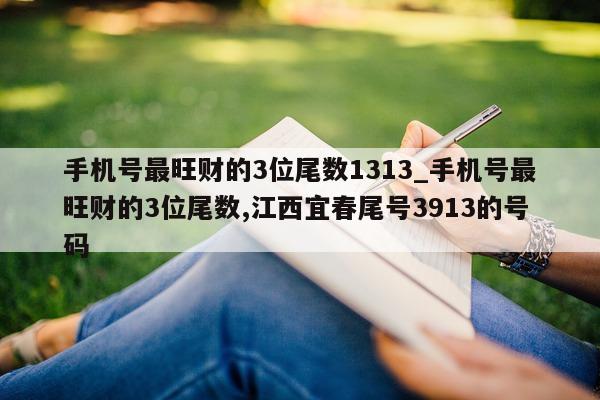 手机号最旺财的 3 位尾数 1313_手机号最旺财的 3 位尾数, 江西宜春尾号 3913 的号码 - 第 1 张图片 - 小城生活