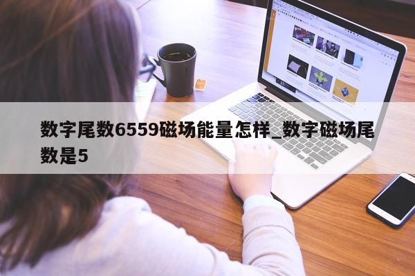 数字尾数 6559 磁场能量怎样_数字磁场尾数是 5 - 第 1 张图片 - 小城生活