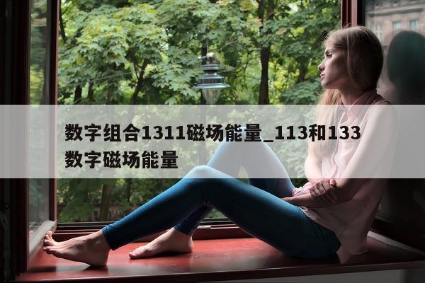 数字组合 1311 磁场能量_113 和 133 数字磁场能量 - 第 1 张图片 - 小城生活