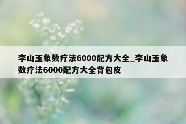 李山玉象数疗法 6000 配方大全_李山玉象数疗法 6000 配方大全背包皮 - 第 1 张图片 - 小城生活