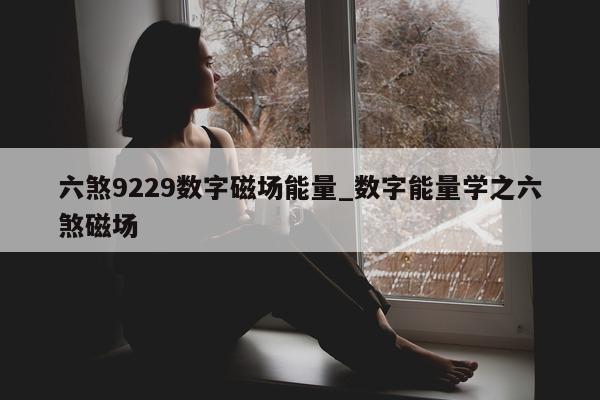 六煞 9229 数字磁场能量_数字能量学之六煞磁场 - 第 1 张图片 - 小城生活