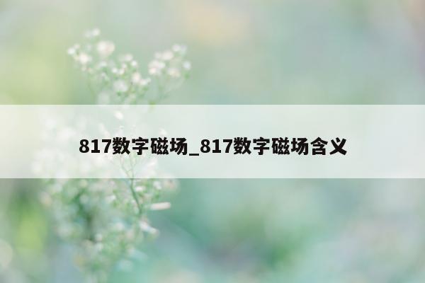 817 数字磁场_817 数字磁场含义 - 第 1 张图片 - 小城生活