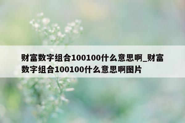 财富数字组合 100100 什么意思啊_财富数字组合 100100 什么意思啊图片 - 第 1 张图片 - 小城生活