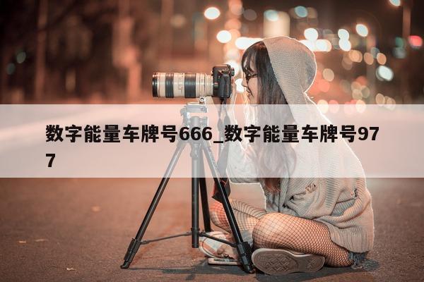 数字能量车牌号 666_数字能量车牌号 977- 第 1 张图片 - 小城生活