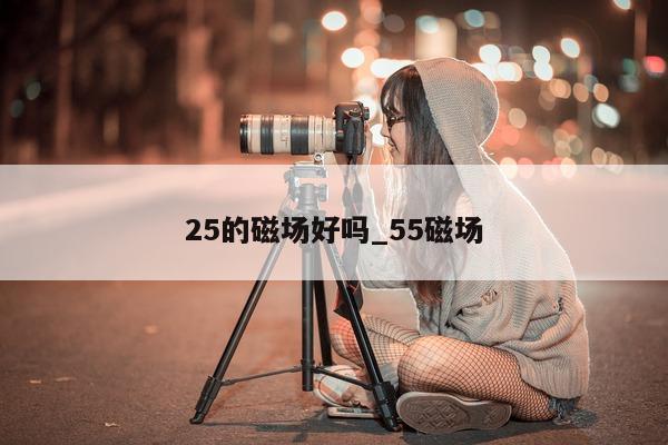 25 的磁场好吗_55 磁场 - 第 1 张图片 - 小城生活