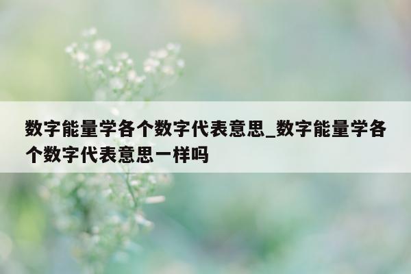 数字能量学各个数字代表意思_数字能量学各个数字代表意思一样吗 - 第 1 张图片 - 小城生活