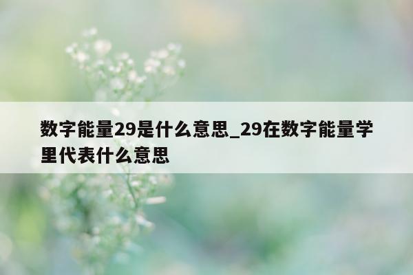 数字能量 29 是什么意思_29 在数字能量学里代表什么意思 - 第 1 张图片 - 小城生活