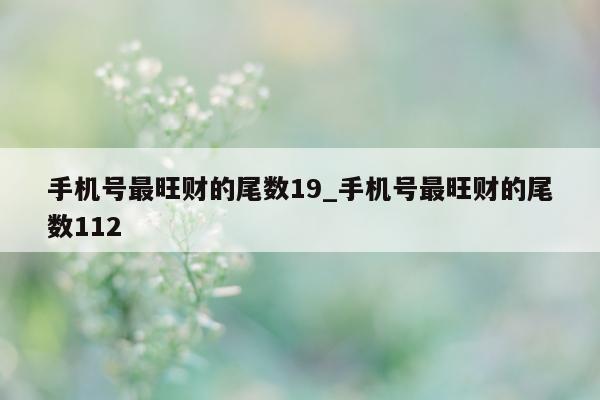 手机号最旺财的尾数 19_手机号最旺财的尾数 112- 第 1 张图片 - 小城生活