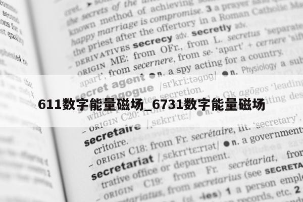 611 数字能量磁场_6731 数字能量磁场 - 第 1 张图片 - 小城生活