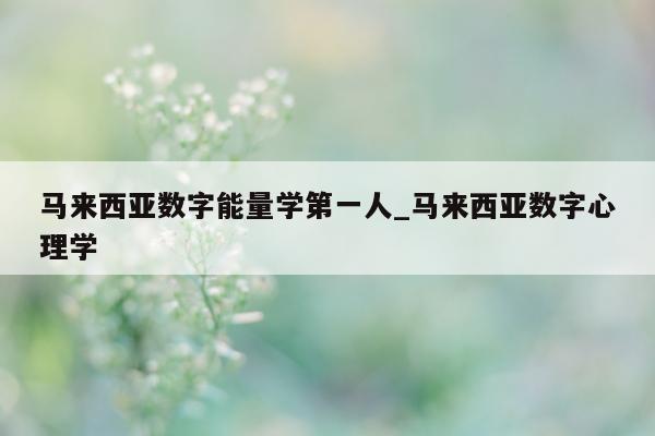 马来西亚数字能量学第一人_马来西亚数字心理学 - 第 1 张图片 - 小城生活