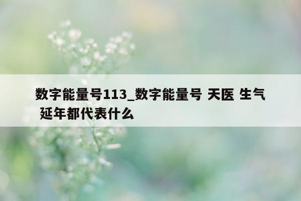 数字能量号 113_数字能量号 天医 生气 延年都代表什么 - 第 1 张图片 - 小城生活