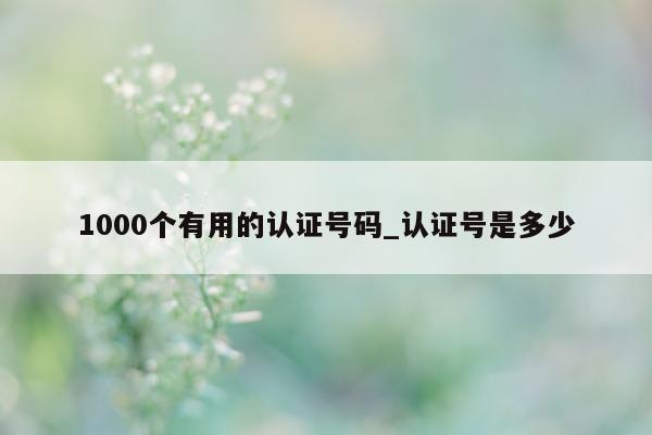 1000 个有用的认证号码_认证号是多少 - 第 1 张图片 - 小城生活