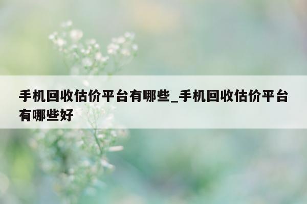 手机回收估价平台有哪些_手机回收估价平台有哪些好 - 第 1 张图片 - 小城生活