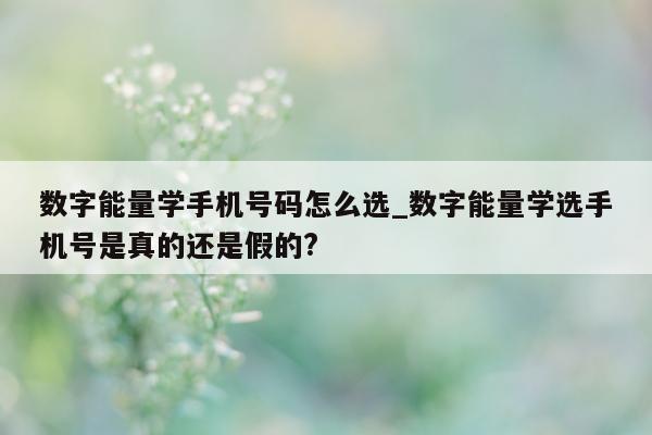 数字能量学手机号码怎么选_数字能量学选手机号是真的还是假的?- 第 1 张图片 - 小城生活