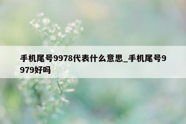 手机尾号 9978 代表什么意思_手机尾号 9979 好吗 - 第 1 张图片 - 小城生活