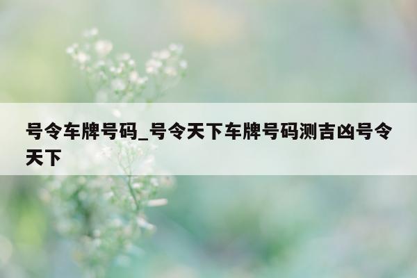 号令车牌号码_号令天下车牌号码测吉凶号令天下 - 第 1 张图片 - 小城生活