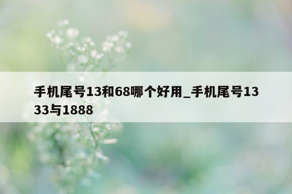 手机尾号 13 和 68 哪个好用_手机尾号 1333 与 1888- 第 1 张图片 - 小城生活