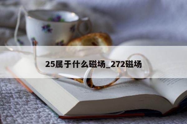 25 属于什么磁场_272 磁场 - 第 1 张图片 - 小城生活