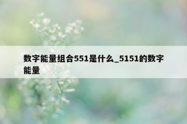 数字能量组合 551 是什么_5151 的数字能量 - 第 1 张图片 - 小城生活