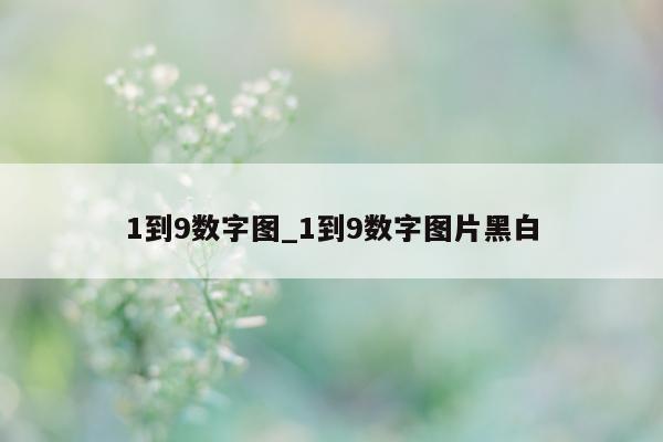 1 到 9 数字图_1 到 9 数字图片黑白 - 第 1 张图片 - 小城生活