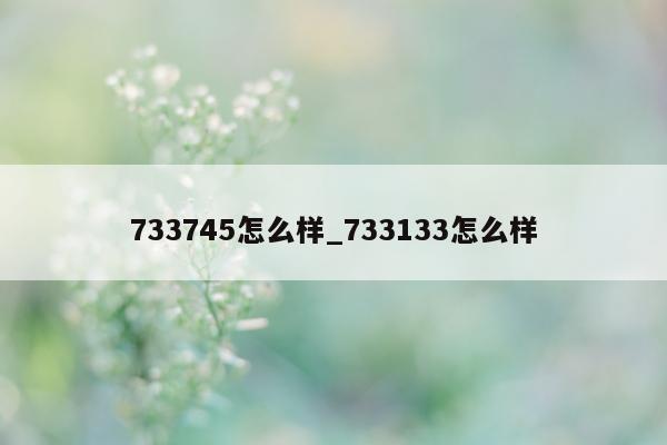 733745 怎么样_733133 怎么样 - 第 1 张图片 - 小城生活