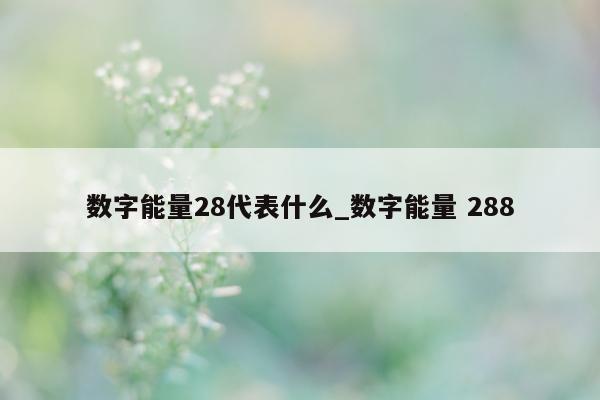 数字能量 28 代表什么_数字能量 288- 第 1 张图片 - 小城生活