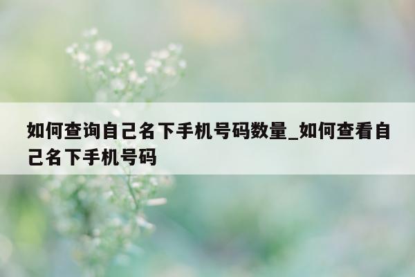 如何查询自己名下手机号码数量_如何查看自己名下手机号码 - 第 1 张图片 - 小城生活