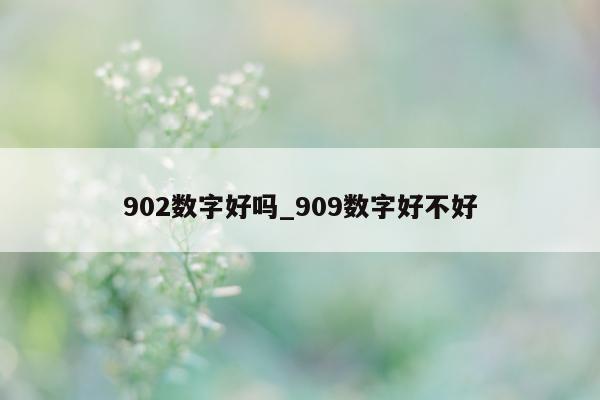 902 数字好吗_909 数字好不好 - 第 1 张图片 - 小城生活