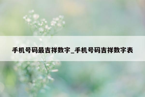 手机号码最吉祥数字_手机号码吉祥数字表 - 第 1 张图片 - 小城生活