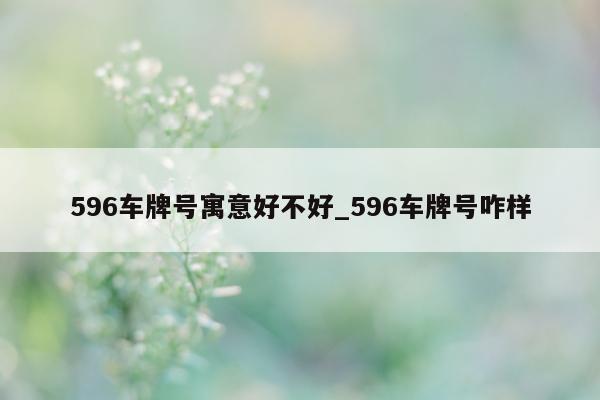 596 车牌号寓意好不好_596 车牌号咋样 - 第 1 张图片 - 小城生活