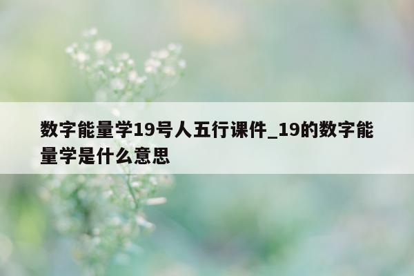 数字能量学 19 号人五行课件_19 的数字能量学是什么意思 - 第 1 张图片 - 小城生活