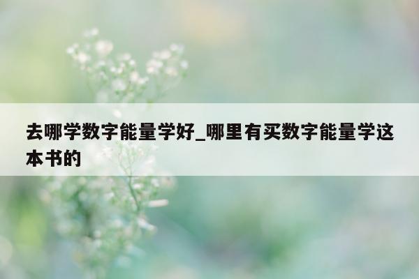 去哪学数字能量学好_哪里有买数字能量学这本书的 - 第 1 张图片 - 小城生活