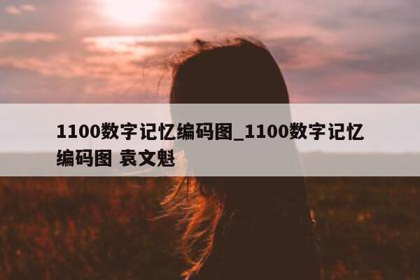 1100 数字记忆编码图_1100 数字记忆编码图 袁文魁 - 第 1 张图片 - 小城生活