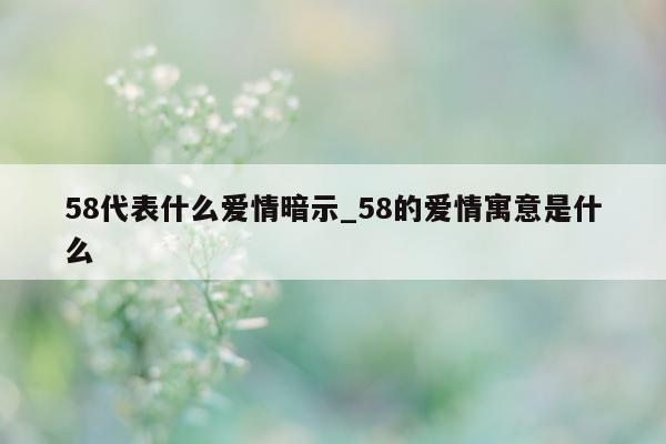 58 代表什么爱情暗示_58 的爱情寓意是什么 - 第 1 张图片 - 小城生活