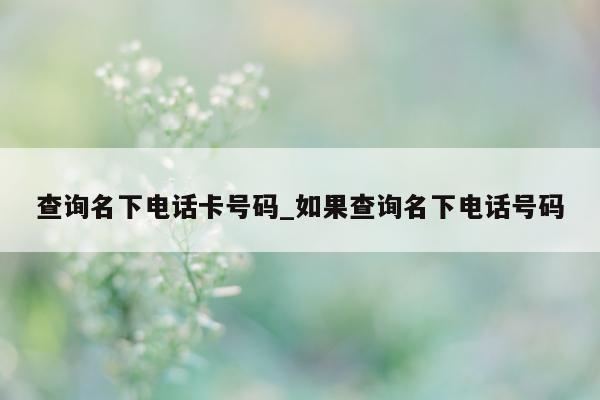 查询名下电话卡号码_如果查询名下电话号码 - 第 1 张图片 - 小城生活