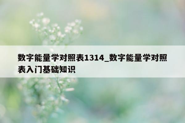 数字能量学对照表 1314_数字能量学对照表入门基础知识 - 第 1 张图片 - 小城生活