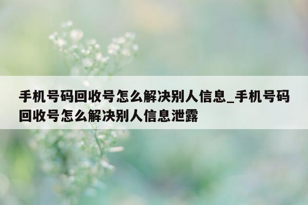 手机号码回收号怎么解决别人信息_手机号码回收号怎么解决别人信息泄露 - 第 1 张图片 - 小城生活