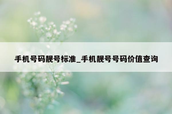 手机号码靓号标准_手机靓号号码价值查询 - 第 1 张图片 - 小城生活