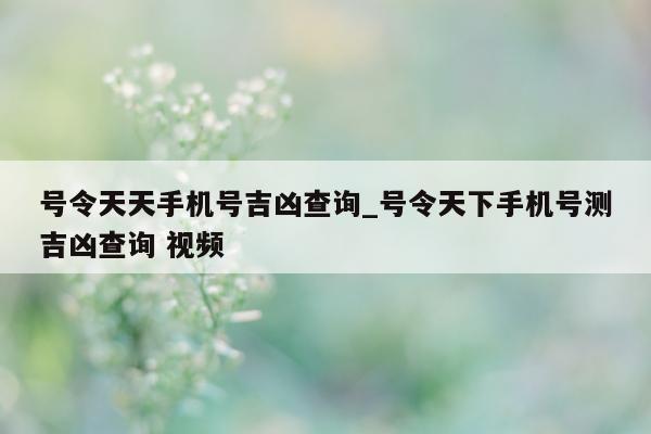 号令天天手机号吉凶查询_号令天下手机号测吉凶查询 视频 - 第 1 张图片 - 小城生活