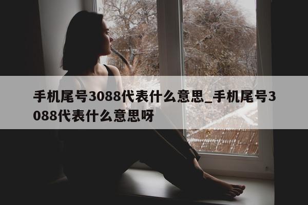 手机尾号 3088 代表什么意思_手机尾号 3088 代表什么意思呀 - 第 1 张图片 - 小城生活