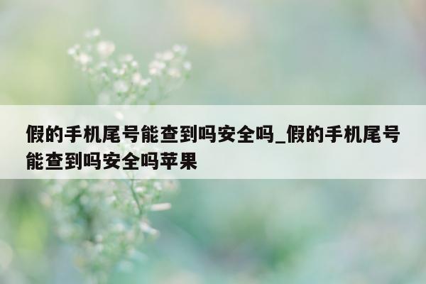 假的手机尾号能查到吗安全吗_假的手机尾号能查到吗安全吗苹果 - 第 1 张图片 - 小城生活