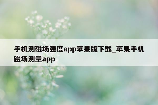 手机测磁场强度 app 苹果版下载_苹果手机磁场测量 app- 第 1 张图片 - 小城生活