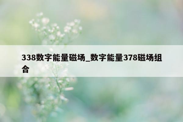 338 数字能量磁场_数字能量 378 磁场组合 - 第 1 张图片 - 小城生活