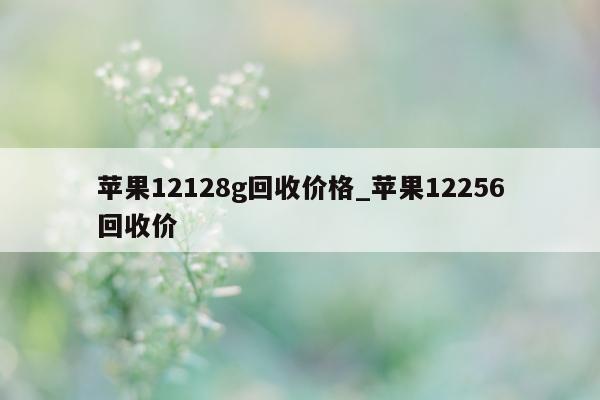 苹果 12128g 回收价格_苹果 12256 回收价 - 第 1 张图片 - 小城生活