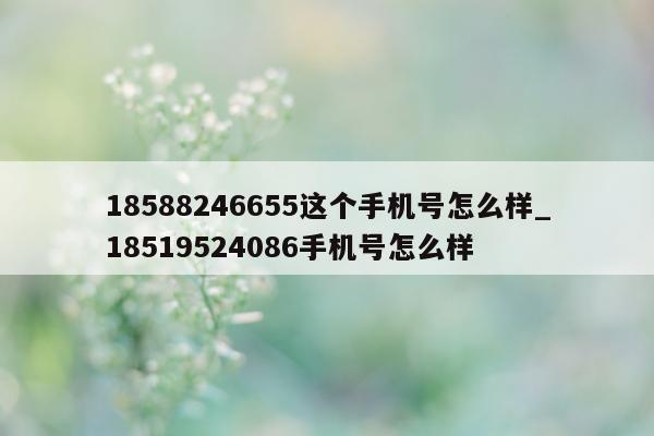 18588246655 这个手机号怎么样_18519524086 手机号怎么样 - 第 1 张图片 - 小城生活